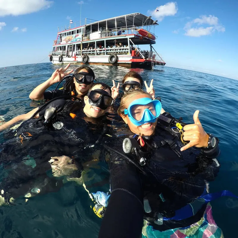 diver in koh tao watching trevallies swim